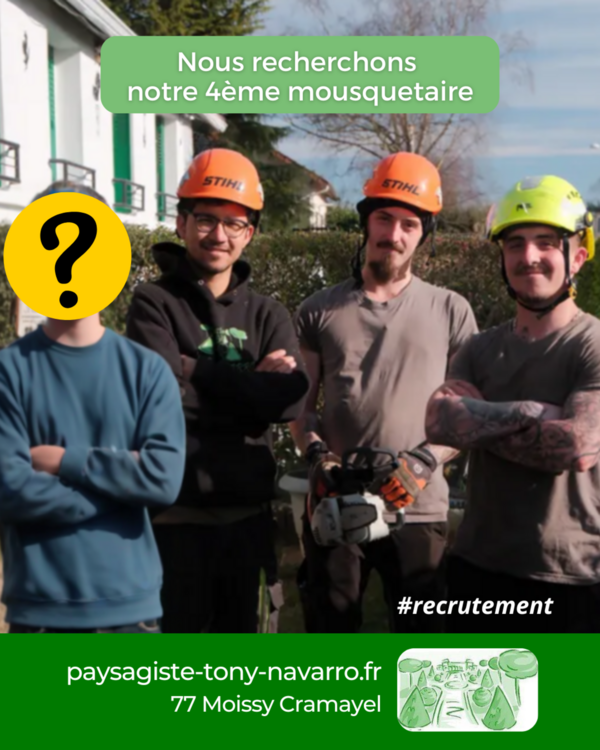 [Offre d’emploi] 