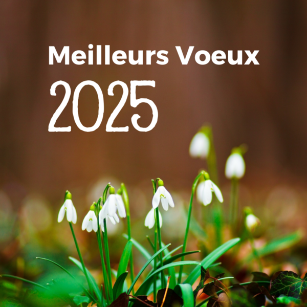 Bonne Année 2025 !