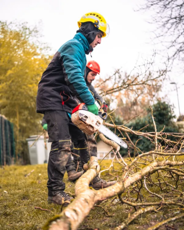 Le jardin de votre enfance