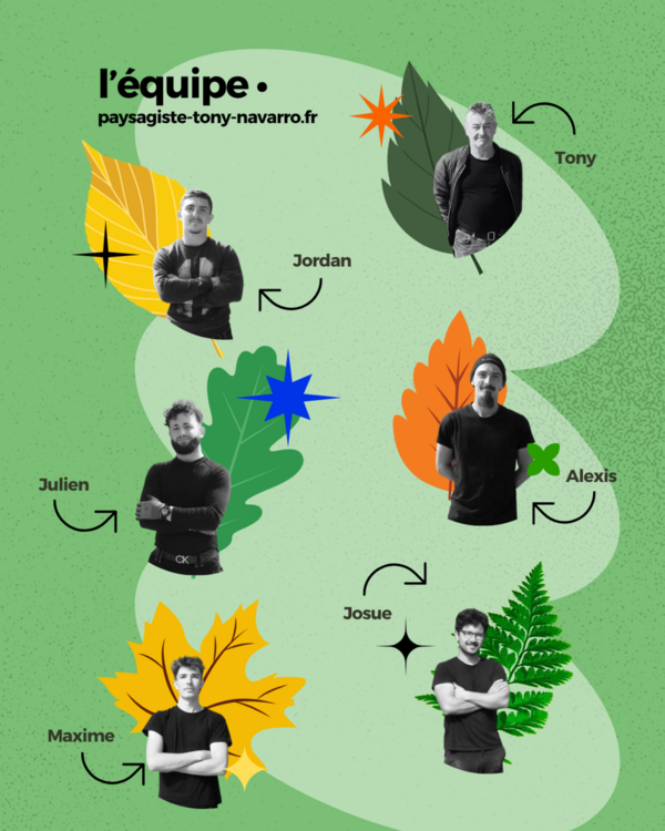 La team de pros