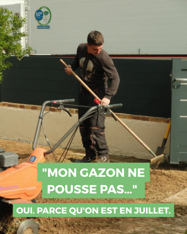 Mon gazon ne pousse pas