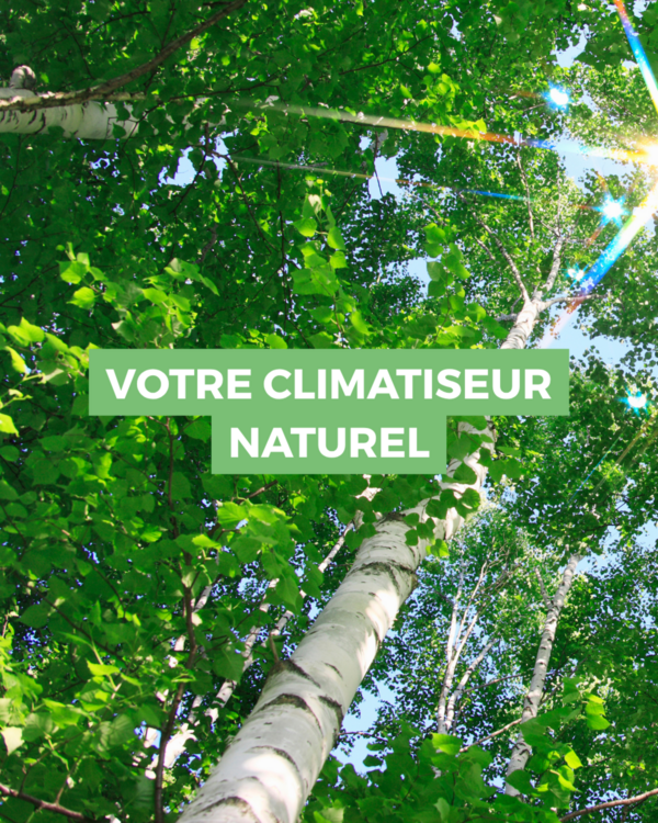 Votre clim naturelle
